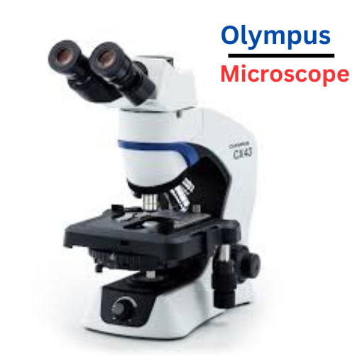 Olympus Microscope